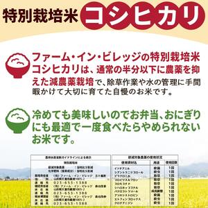 コシヒカリ 定期便 ( 5kg × 1袋 ) 12回 お届け 米 精米 山形 08-30-048