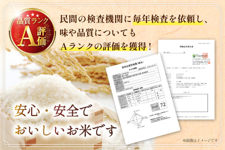 米 令和7年産 元気つくし 白米 10kg [um40azp240000] お米