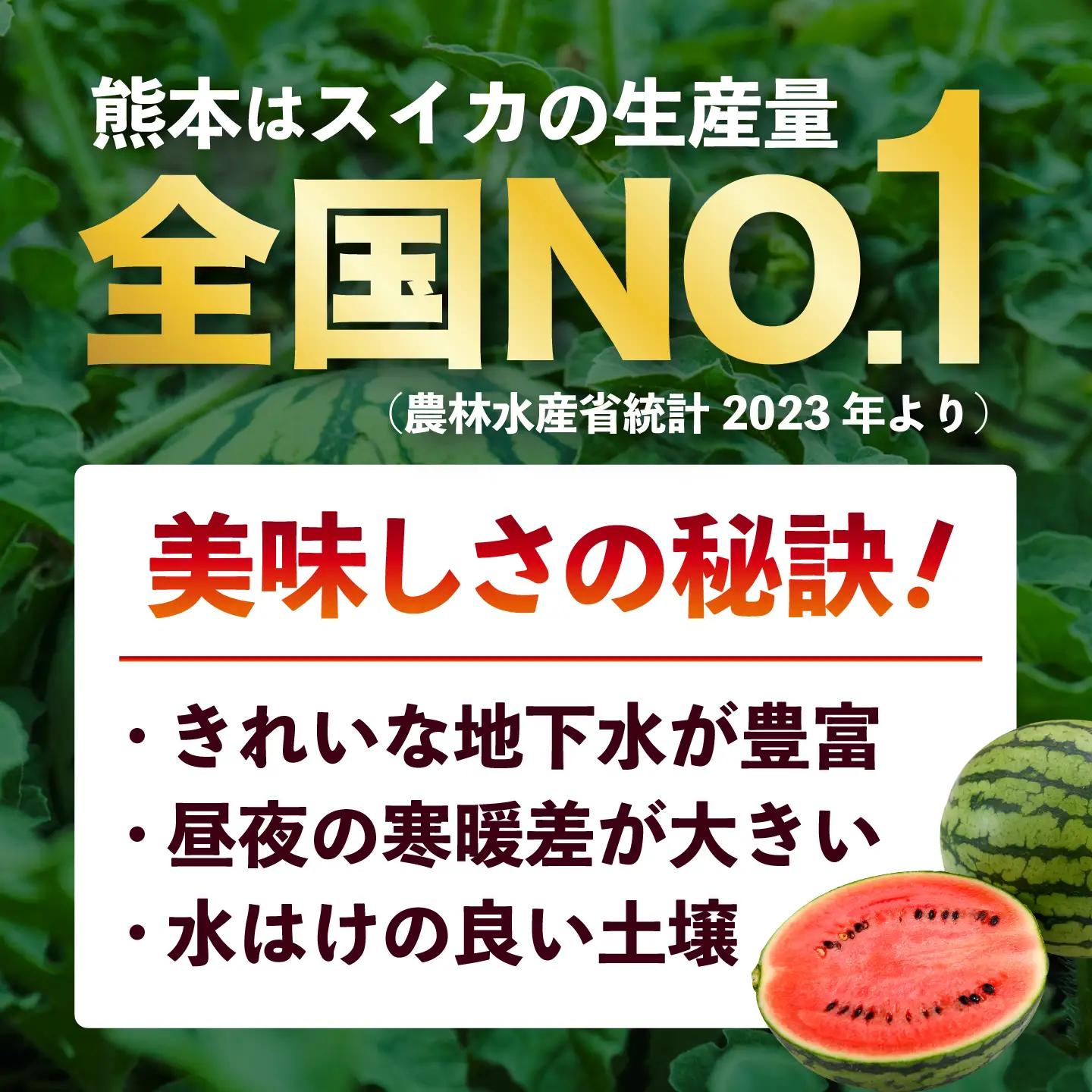 令和8年熊本地震復興支援 先行予約2027年5月下旬より発送 訳あり小玉すいか2玉計約2kg~3kg数量限定スイカすいかAYAT009