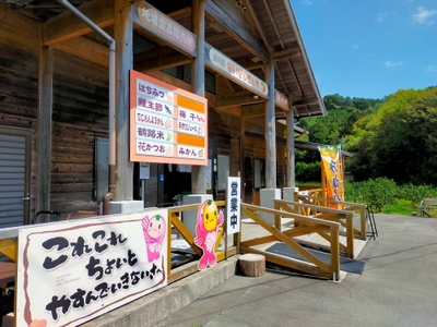 国産 梅干し 計600g 無添加梅干し