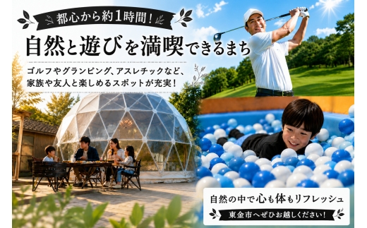 メロン 訳あり 通年発送 アクアメロン 約1.3kg × 3玉 メロン めろん 青肉 マスクメロン ますくめろん 果物 くだもの フルーツ ふるーつ めろん メロン サイズ 大玉 大容量 甘い 温室メロン ジューシー 果肉 デザート おやつ 高糖度 高級 アールスメロン 戸田メロン 千葉 東金
