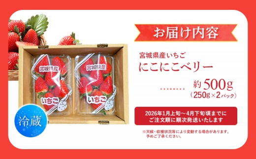 宮城県産いちご「にこにこベリー」約500ｇ（250ｇ×2）