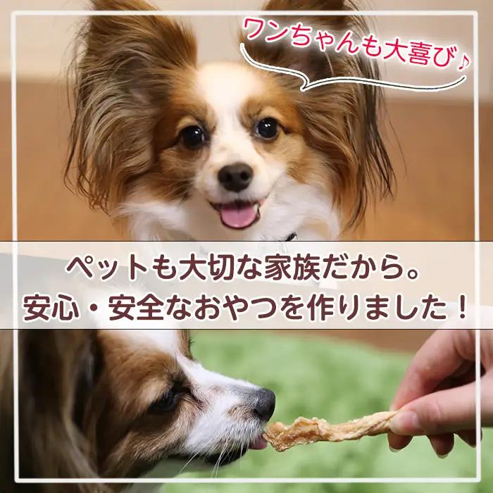 No.447-B 犬用おやつジャーキー 牛タン皮細切り (計100g・50g×2袋) 牛タン皮 牛肉 お肉 レトルト ペット用 乾燥 細切り 小分け 着色料不使用 保存料不使用 いぬ ご褒美 間食 デ