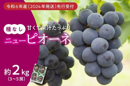 【2025年発送分 先行受付スタート】岡山県産ニューピオーネ 　秀品　約2kg（3～5房程度）（令和７年8月中旬以降発送）【 ニューピオーネ フルーツ 果物 葡萄 ぶどう 岡山県産 秀品 】