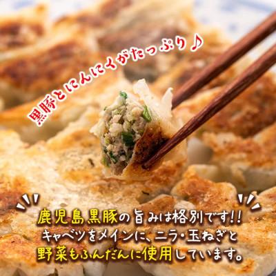 ふるさと納税 伊佐市 黒豚にんにく餃子(計80個・8個入り×10P) |  | 01