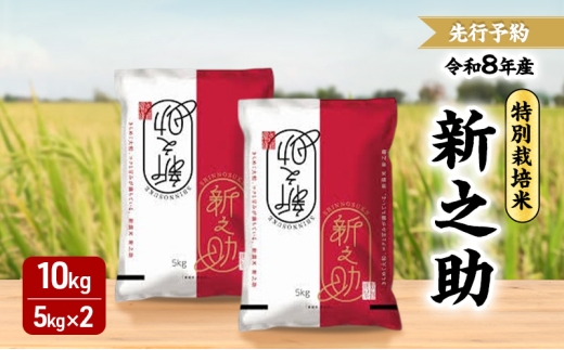 先行予約 令和8年 新潟県産新之助 特別栽培米 10kg 10キロ （5kg×2袋） 上越市 三和区神田 富永農産 有機肥料 自家製たい肥