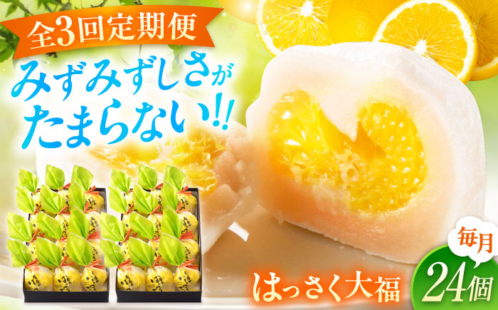 【全3回定期便】お菓子 はっさく大福12個入×2　 お菓子 大福 八朔 柑橘 みかん オレンジ 餅 ギフト お取り寄せ スイーツ フルーツ大福 ご当地 菓子 おかし デザート 食品 人気 おすすめ 広島県福山市/株式会社虎屋本舗 [BADH018]