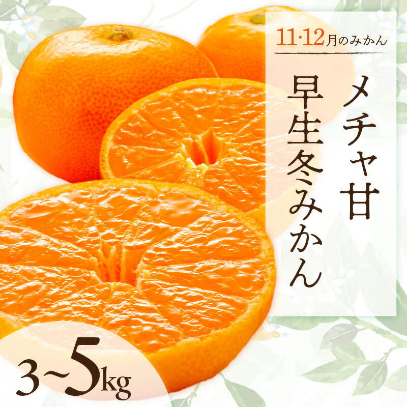 【ふるさと納税】11・12月の御浜柑橘 メチャ甘冬みかん 3～5kg【御浜町でとれたメチャ甘冬みかんをお届け！】