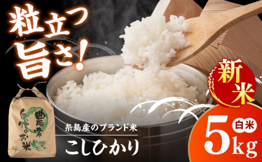 【令和8年産】【新米予約受付】 こしひかり 白米 5kg 【2026年9月下旬以降順次発送】糸島市産 糸島市 / 糸島の恵み コメ こめ ご飯 [AGR021]