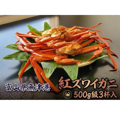 ふるさと納税 魚津市 自社漁船直送!魚卸問屋のベニズワイガニ500g級×3杯