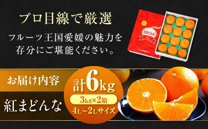 【11月下旬から順次発送】 紅まどんな 約6kg（4L〜2Lサイズ 8〜12玉入 計3kg×2箱）化粧箱入