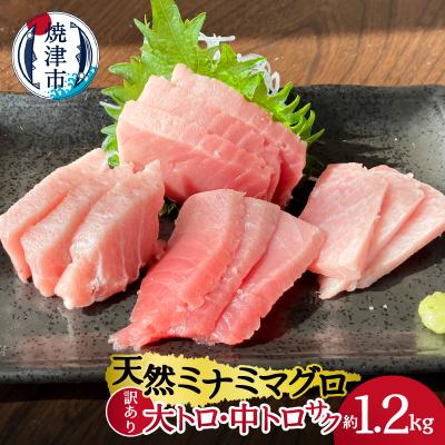 ふるさと納税 焼津市 天然ミナミマグロ 訳あり 大トロ 中トロ(サク) 詰合せ 約1.2Kg入り(a34-045)