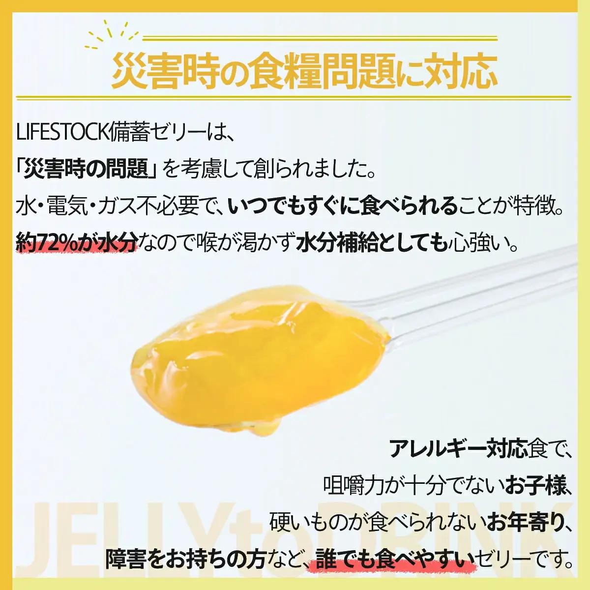 非常食 保存食 LIFE STOCK備蓄ゼリー お1人様3日分セット 【04209-0078】 コンパクト  防災食 非常食 保存食 避難食 高カロリー アレルギー対応 水分補給