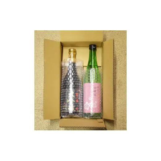 【大吟醸含む2本セット】大吟醸･吟醸 柔らかフルーティー日本酒セット【梅ヶ枝酒造】 おすすめ 人気 おいしい 佐世保市 長崎県 九州 父の日 母の日 誕生日 ギフト プレゼント