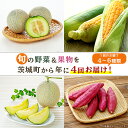 【ふるさと納税】野菜 フルーツ 定期便 4回 お楽しみ 野菜ボックス 162 定期便 果物 フルーツ 野菜 茨城町 旬 年に4回 お届け お楽しみ メロン サツマイモ とうもろこし 等