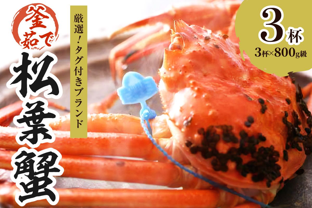 【厳選！！タグ付きブランド】茹で松葉かに 鮮度抜群、釜茹でにてお届け！！ 800g級×3杯　YK00432