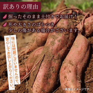 さつまいも 訳あり シルクスイート 約 5kg 土付き さつまいも