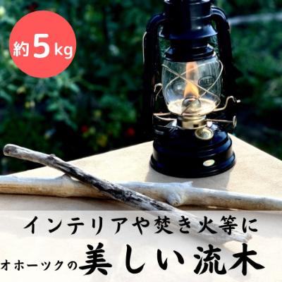 ふるさと納税 北見市 雰囲気の出る美しい流木　大中小サイズ混合　約5kg