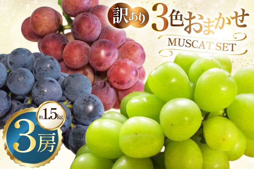 
            訳あり 3色 おまかせ ぶどう 3房 約1.5kg [ごとう農園 山形県 高畠町 tk06bcz270005] フルーツ 果物 くだもの ブドウ 葡萄 1.5キロ 贈答 甘い 果実 デザート 農家直送 産地直送 数量限定 期間限定 マイハート ピオーネ ゴルビー シャインマスカット
          