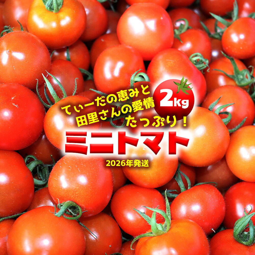 【ふるさと納税】【2026年発送】てぃーだの恵みと田里さんの愛情たっぷり！ミニトマト 赤2kg