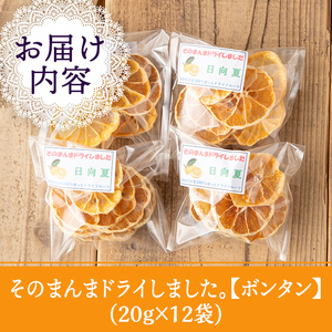 isa570 《数量限定》ドライフルーツ阿久根ボンタン「そのまんまドライしました。」(計12袋・各20g) 【薩摩美食倶楽部】