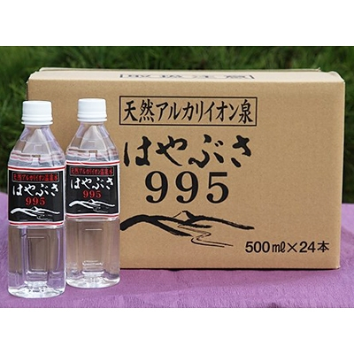 
りょう泉はやぶさ　995〈500ml×24本〉_ 水 500ml ミネラルウォーター ウォーター ミネラル アルカリ天然 軟水 温泉水 イオン 飲料 ドリンク キャンプ アウトドア ケース 山梨市 常温 玄関 配達 備蓄 防災 経済的 水割り お茶 コーヒー スポーツ 【1031769】
