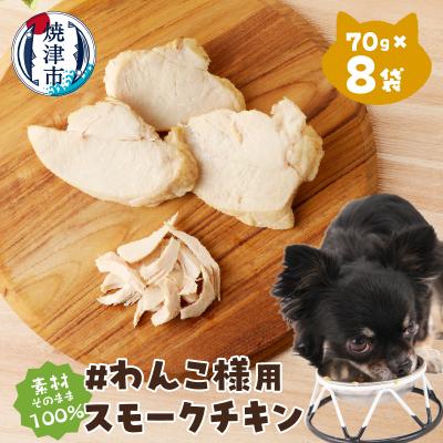 ふるさと納税 焼津市 わんこ様用8点セット(a16-135)