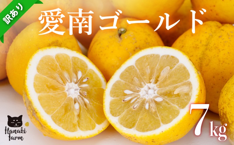 
                  訳あり 愛南ゴールド 7kg 河内晩柑 サイズミックス みかん 蜜柑 柑橘 果物 フルーツ 傷 シミ 愛南ゴールド アイス ゼリー ジュース 国産 愛媛 愛南町 はなき農園
                