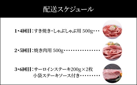 【ふるなび限定】A5ランク特選近江牛　6回定期便 近江牛 A5ランク  CY-002T