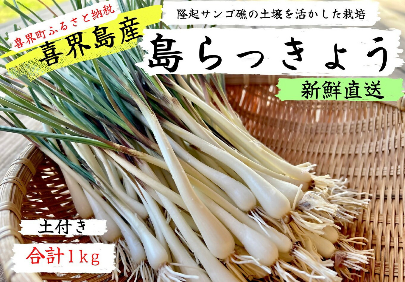 【ふるさと納税】【2025年4月頃から発送】　鮮度抜群！土付き　喜界島産 島らっきょう　1kg