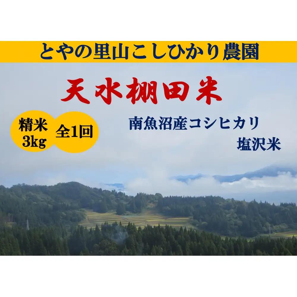 令和8年産新米予約【天水棚田米】雪蔵熟成塩沢産コシヒカリ精米3kg1回「とやの里山継承プロジェクト」【銘柄米 ブランド米 精米 こしひかり コシヒカリ 魚沼産 新潟米 お米 米 こめ】【2026年10月下旬より順次発送予定】