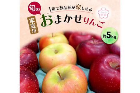 りんご【3月発送】家庭用 訳あり 旬のりんご 品種おまかせ 約10kg 2品種～4品種