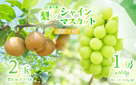 シャインマスカット 1房 ( 約650g ) + 粒パック100g ＆ 梨 2玉 ( 豊水梨 or あきづき )