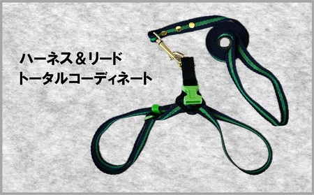 トイプードル向けハーネス＆リード(カラー：紺緑紺)【001-018-5】