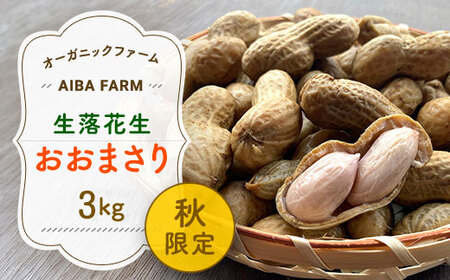 【先行予約・新豆】農家直送！千葉県産「生落花生」おおまさり３kg 【 ふるさと納税 人気 おすすめ ランキング 皮付き 殻付き ピーナッツ ピーナツ 落花生 オーガニック 千葉県 富里市 送料無料 】TML010