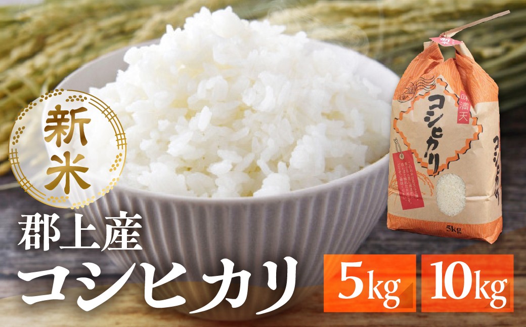 
                  令和7年産 郡上産こしひかり 5kg 10kg 内容量選べる / 食品 米 精米 白米 コシヒカリ お米 コメ こめ 米
                