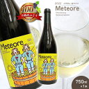 【ふるさと納税】2022 Meteore メテオレ 750ml × 1本 ｜飲料 洋酒 お酒 アルコール ドリンク ワイン 白ワイン シャルドネ ゲヴュルツトラミネール wine Chardonnay gewurztraminer 2022 メテオレ Meteore ワイン用 ぶどう 品種 特産品 千曲市 長野県 日本 ワイナリー