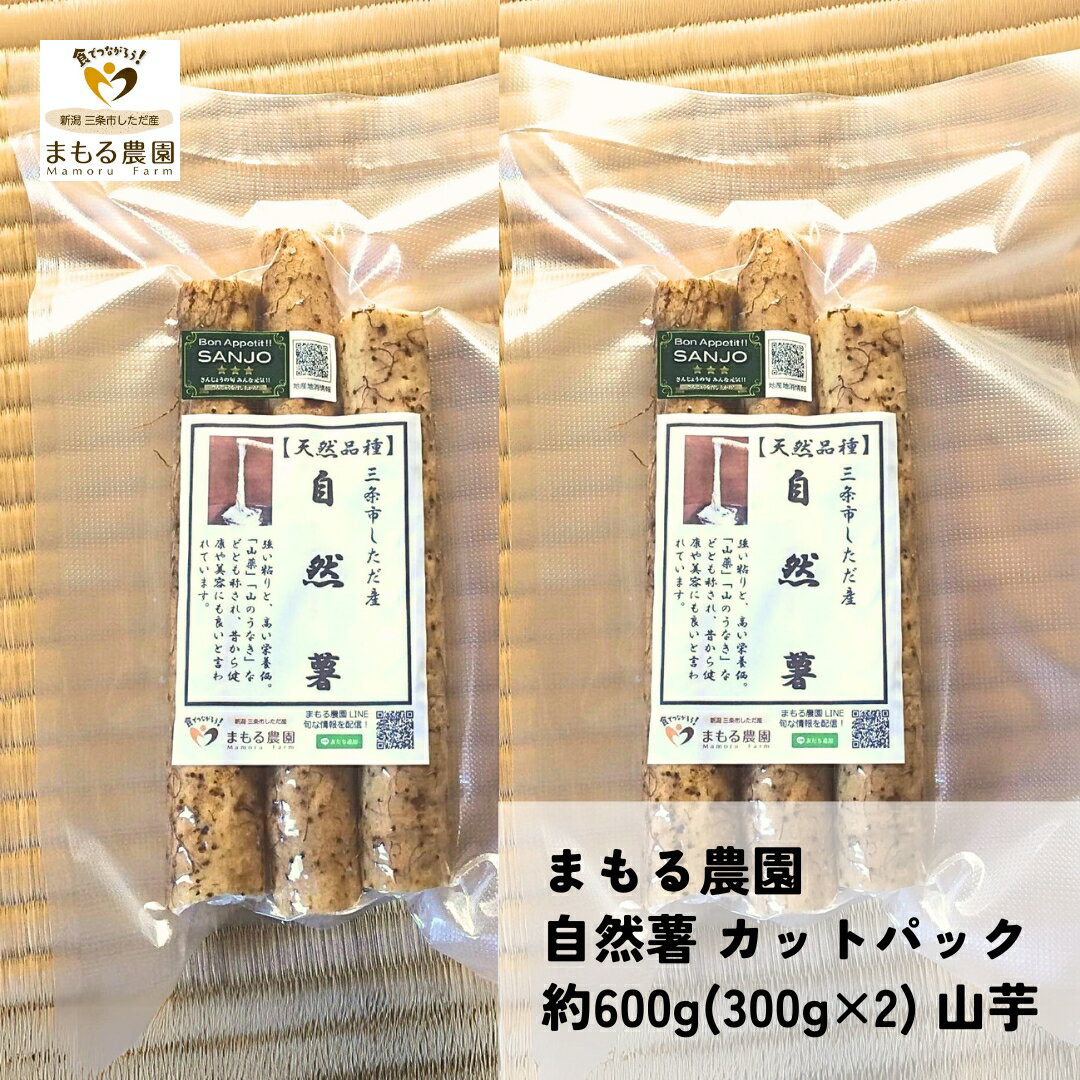 【ふるさと納税】自然薯 カットパック 約600g(300g×2パック) 山芋 とろろご飯に じねんじょ [まもる農園] 【010S660】