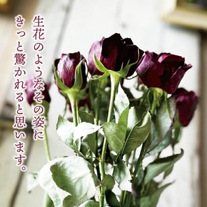 SL0241　12本の赤バラのフリーズドライアレンジ「ラヴィアン・ローズ」水のいらない花　ゼロフラワー