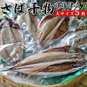 【ふるさと納税】脂のり抜群！いずみや鮮魚店のさばの干物(甘塩仕立て） [0011-0032]