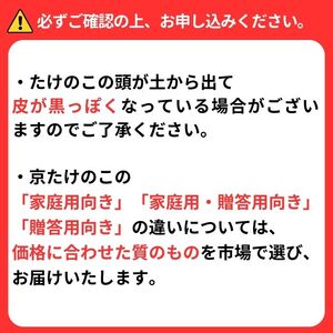 たけのこ 約2kg 【先行予約】 たけのこ