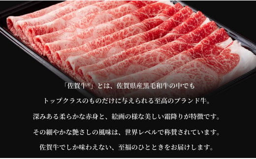 佐賀牛三昧定期便 毎月届く 全12回 計5.5kg 肉 定期便 佐賀牛 