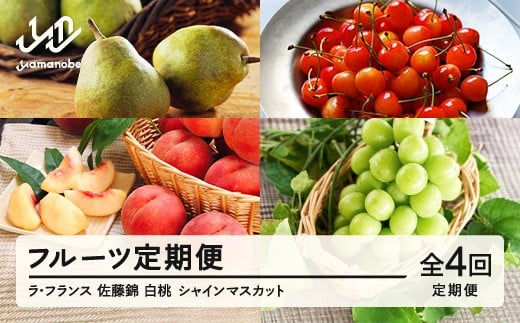 
            【先行予約】【春始まり】フルーツ満足定期便 定期便 全4回 2026年産 ラ・フランス さくらんぼ 佐藤錦 もも 白桃 ぶどう シャインマスカット 果物 山形県産 送料無料 ※沖縄・離島への配送不可 mm-ft4yz
          
