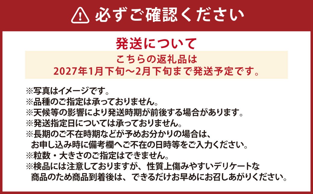 『まるで果物の王様！贅沢メロン』 2玉セット 
