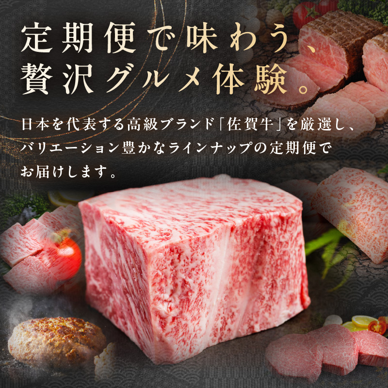 【発送月固定 定期便】肉の定期便! 特選佐賀牛 毎月月替わりでお届け 全12回 J1172