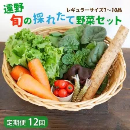 【毎月定期便】旬のとれたて野菜セット(7～10品)レギュラーサイズ【こんたでぃーの遠野】全12回【配送不可地域：離島】【4066191】