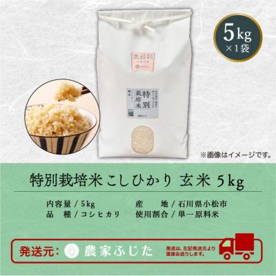ふるさと納税 小松市 コシヒカリ 玄米 5kg 令和7年産 新米 特別栽培米こしひかり 【農家ふじた】 |  | 02
