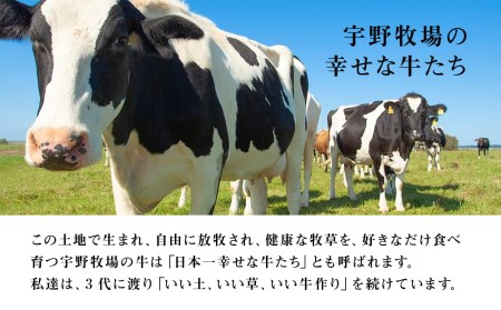 【定期便 6ヶ月】 オーガニック ドリンク ヨーグルト 200g×6本