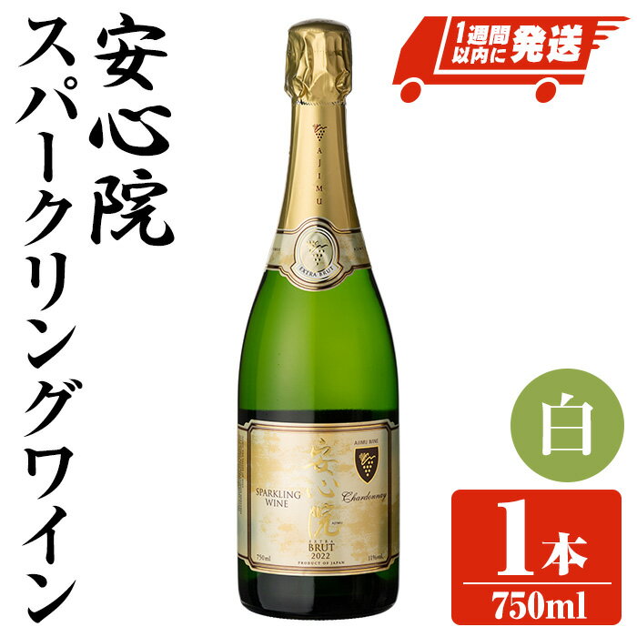 【ふるさと納税】安心院スパークリングワイン 白(750ml)酒 お酒 ワイン 白ワイン スパークリングワイン アルコール 飲料 ぶどう 葡萄 スピード発送 【107300501】【時枝酒店】