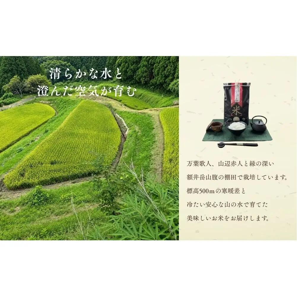 にじのきらめき 特別栽培米 5kg／ あかひと農園 米 白米 新米 精米 米 白米 精米 令和7年産 R7 2025年産 奈良県 宇陀市 あかひと米